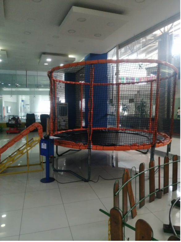 LONA SALTARINA EBO002