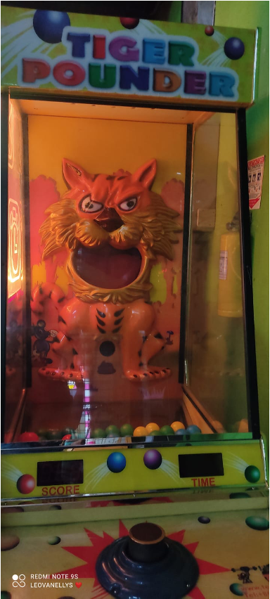 TIGER POUNDER VMR028