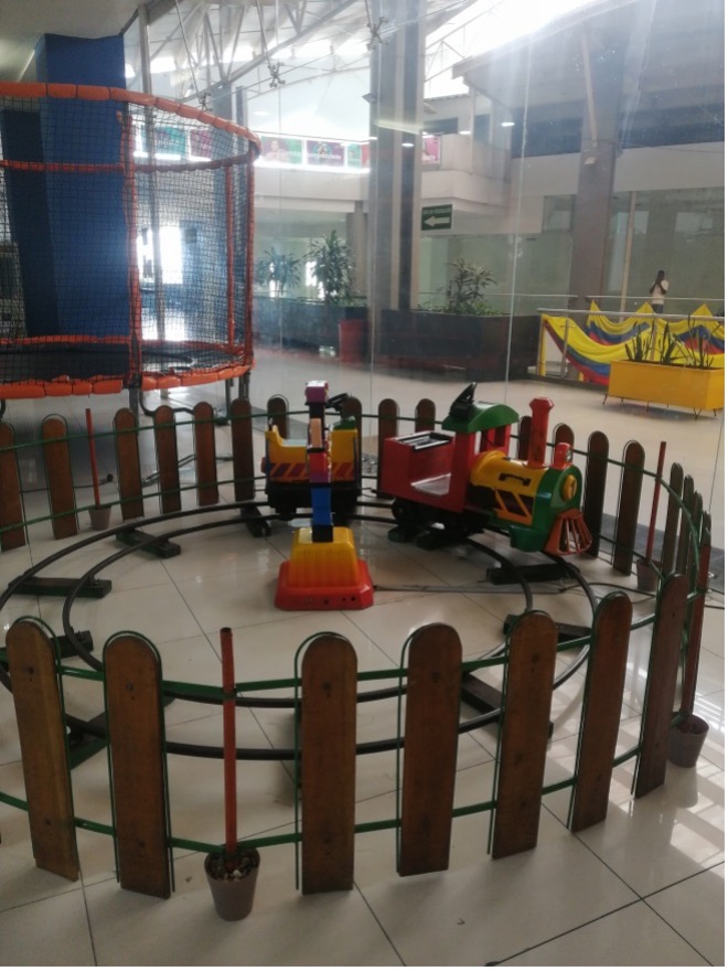 TREN DEL OESTE EBO001