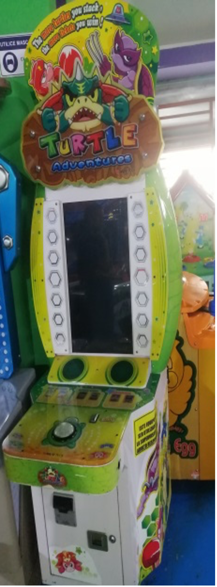 TURTLE ADVENTURE EBR025