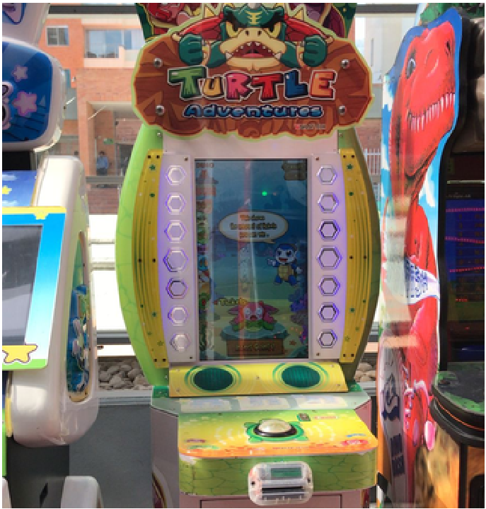 TURTLE ADVENTURES DIR010